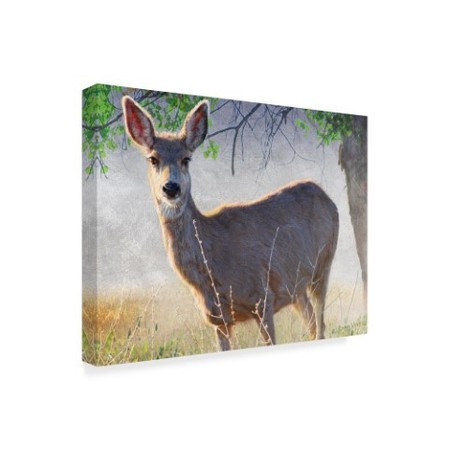 Trademark Fine Art Chris Vest 'Spring Doe' Canvas Art, 24x32 WAG02863-C2432GG